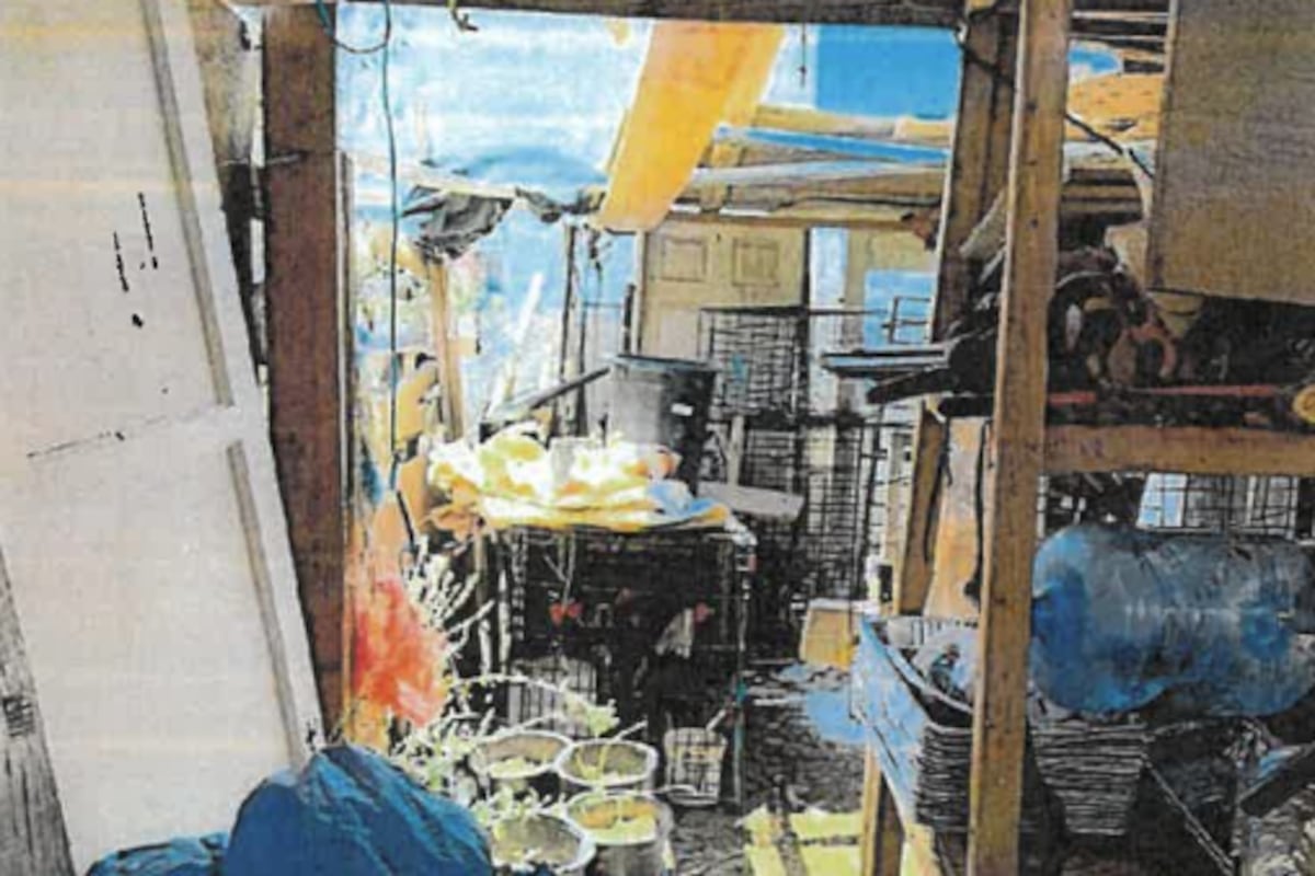 preloaded gallery image
