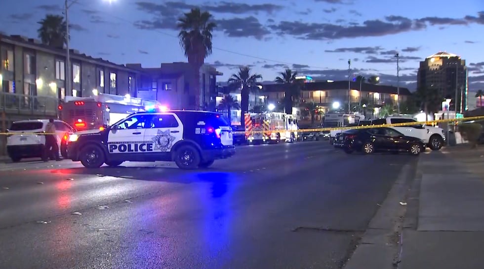 Las Vegas police say a suspect is in custody after a domestic disturbance turned into a...