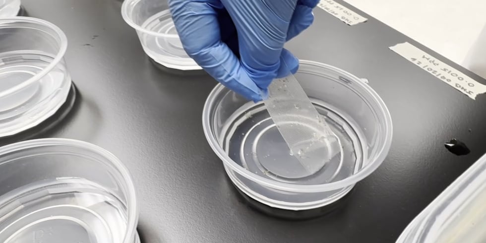Researchers at the UNLV mosquito lab started trapping and studying mosquitoes early this year.