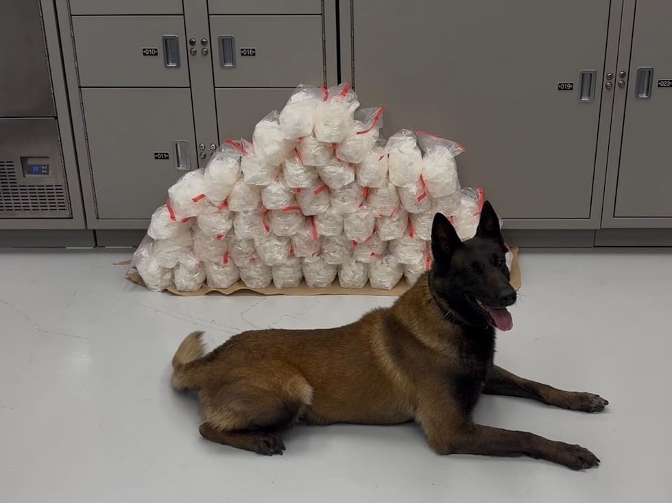 Police seized about 100 pounds of meth during a traffic stop on I-15.