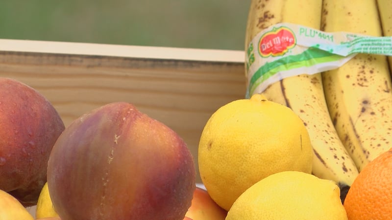 Fresh Fruit for Mobile Grocery Store
