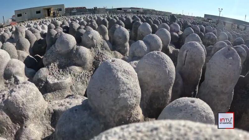 Corales impresos: tecnología al servicio del medioambiente