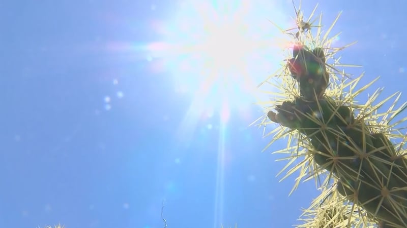 Experts say extreme heat is behind Arizona's record high overdose rates.