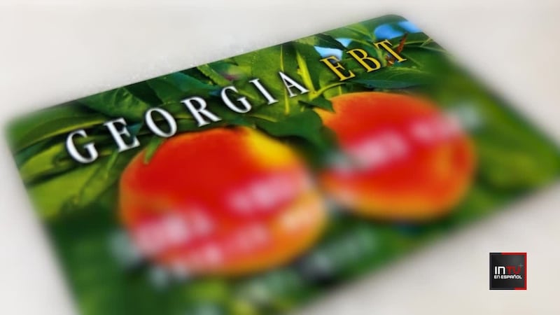 ¿Qué hacer si te roban dinero de tu tarjeta de SNAP?