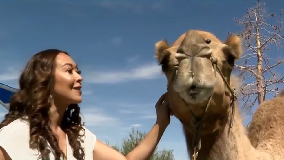 A petition signed by thousands of people across the Las Vegas Valley calls on the City of...