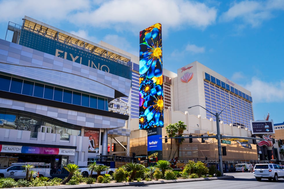 LINQ Promenade organiza un recorrido gastronómico de perritos calientes durante el fin de...