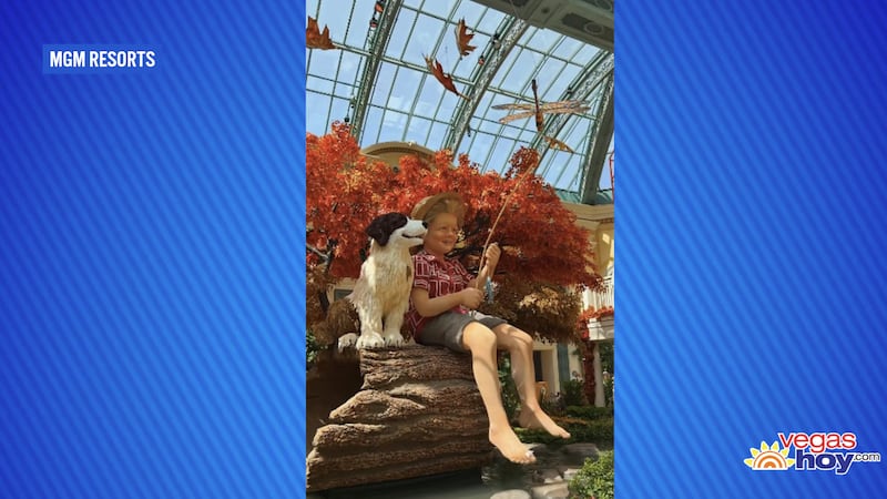 El Conservatorio del Bellagio inaugura su exhibición de otoño en el Strip de Las Vegas.