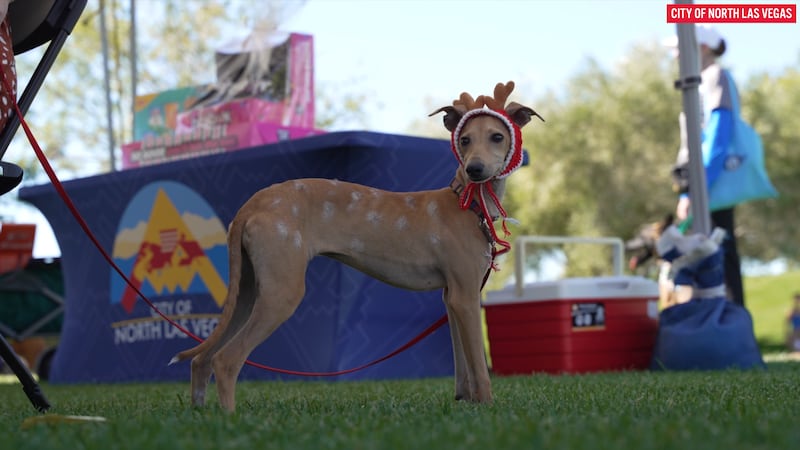 The City of North Las Vegas hosted it’s sixth annual Paws in the Park event on Saturday.