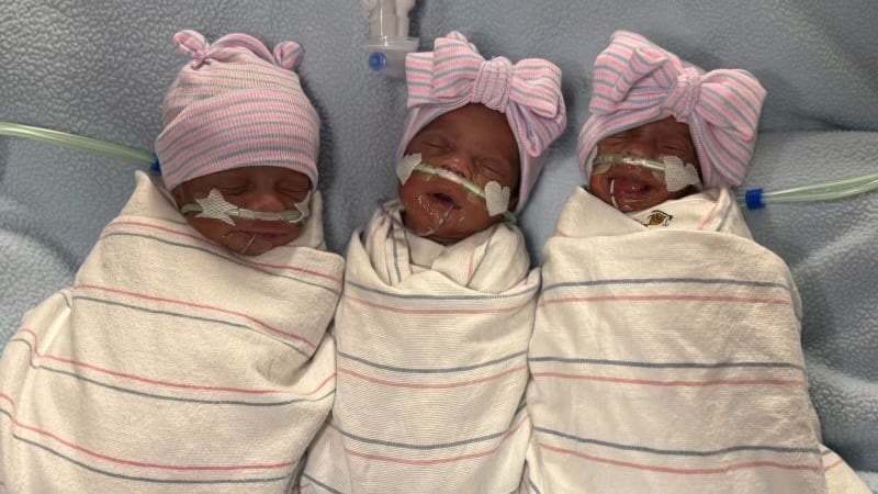Nine babies—three sets of twins and one set of triplets—born within 24 hours of each other at...