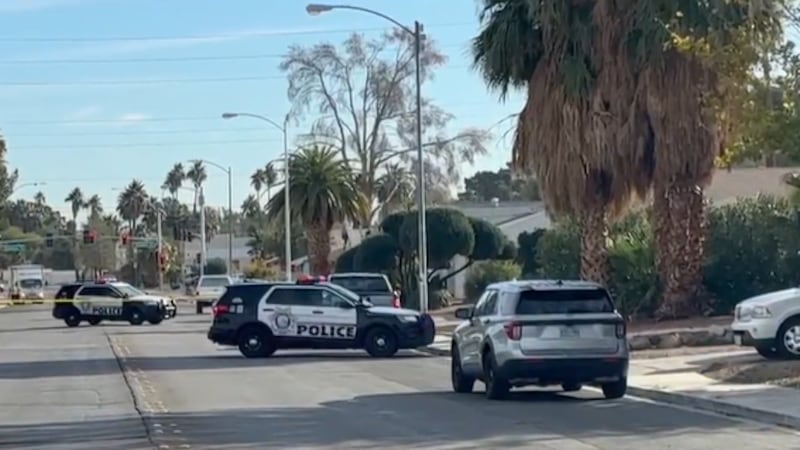 Detectives are investigating a homicide in south Las Vegas, police say.