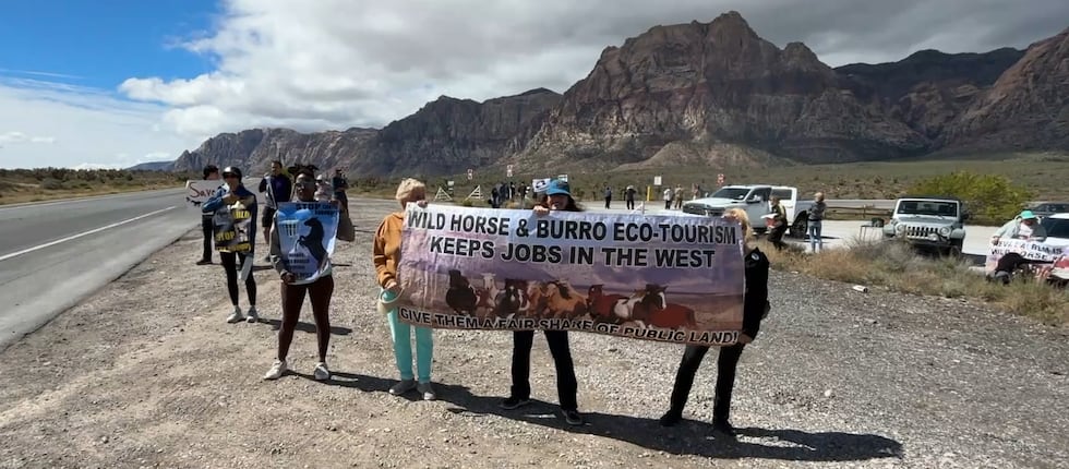 Decenas de personas se congregaron el domingo cerca de Red Rock para manifestarse en contra de...
