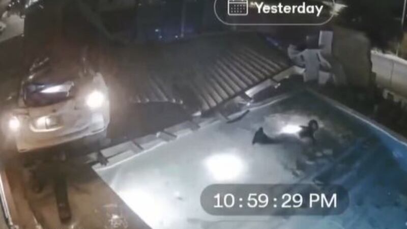 La conductora involucrada en un accidente viral que envió su vehículo por el aire hasta una...