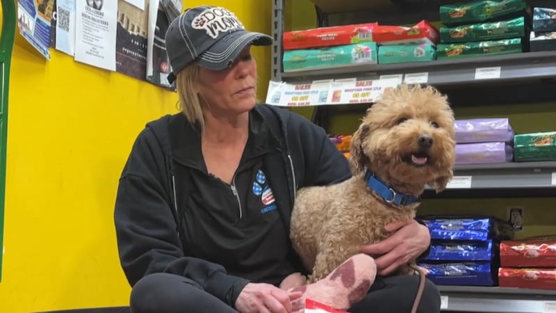 Una mujer fue acusada de abandono de animales y resistencia al arresto después de que, según...