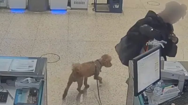 Un informe de arresto detalla el momento en que una mujer insistió en que no perdería su vuelo...