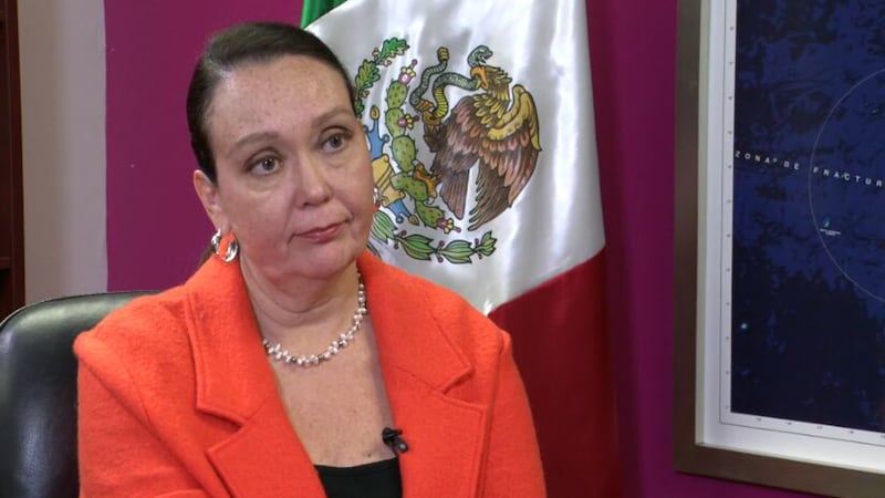 La violencia relacionada con los carteles en partes de México mantuvo en alerta a las familias...