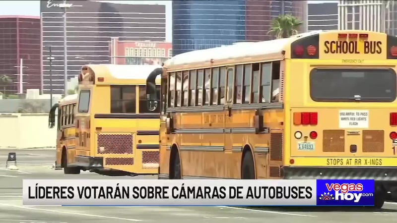 Las cámaras son una medida de seguridad adicional para evitar que los niños sean atropellados...