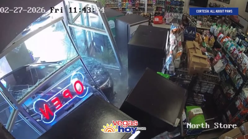 Las imágenes muestran el momento del impacto, que hizo que los clientes y sus perros salieran...