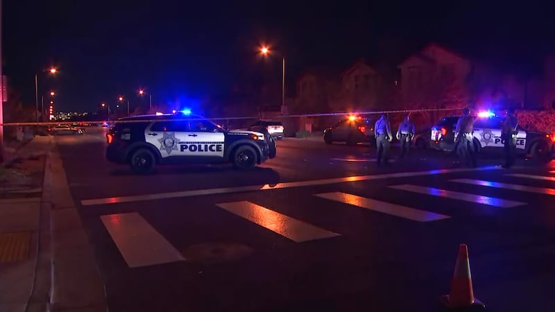 Una mujer y un niño pequeño fueron encontrados muertos dentro de un vehículo después de ser...