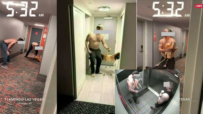 Un hombre enfrenta cuatro cargos de crueldad animal después de que la policía de Las Vegas...