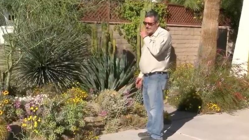 Las altas temperaturas de esta semana —que podrían sentirse más propias del verano que de la...