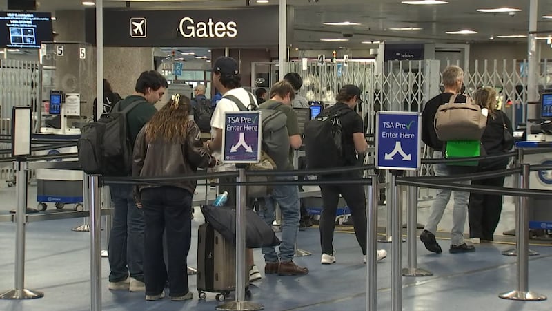 Agentes del ICE no serán desplegados en el Aeropuerto Internacional Harry Reid de Las Vegas,...