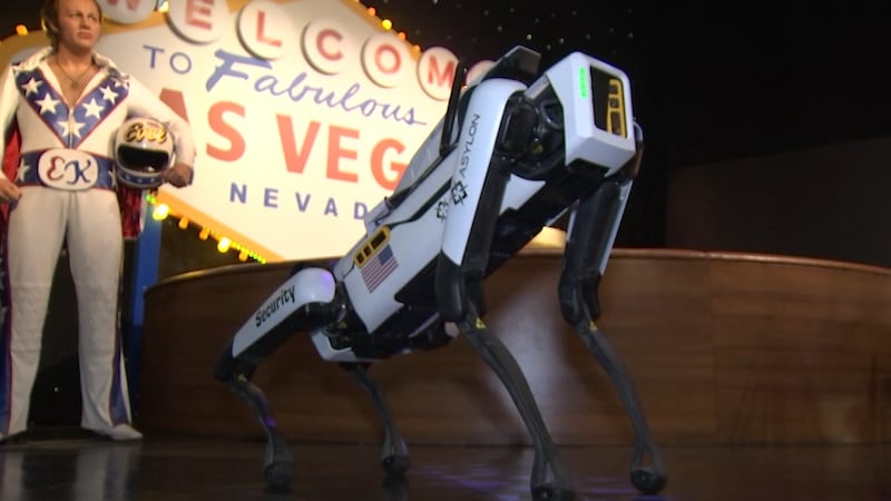 Un perro de seguridad robótico patrulla el Museo de Cera Madame Tussauds en el Strip de Las...