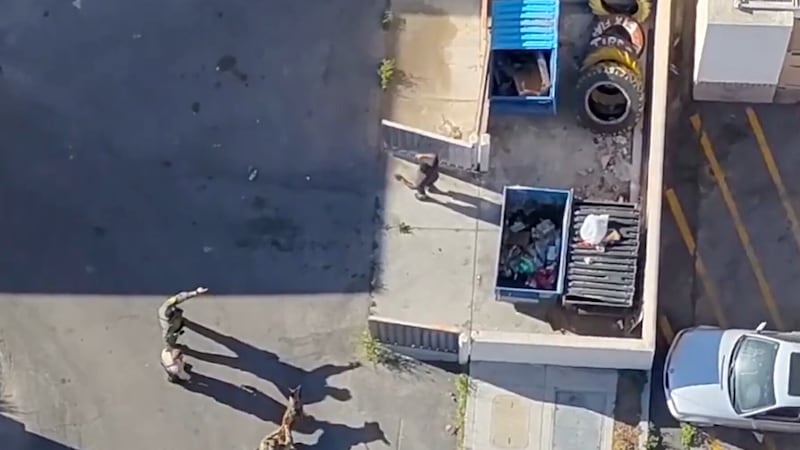 LVMPD difundió este lunes un video grabado con un dron, el cual muestra cómo los agentes...