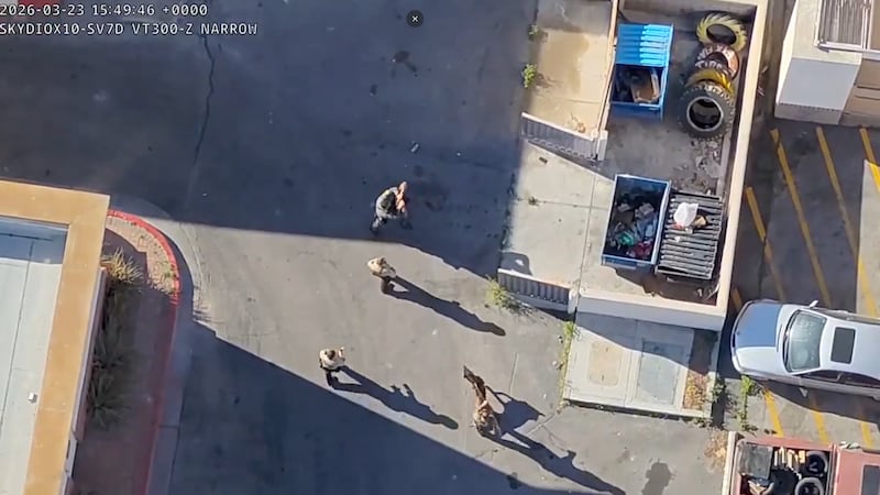 Los agentes acudieron a un establecimiento de Dollar Tree, situado cerca de las intersecciones...