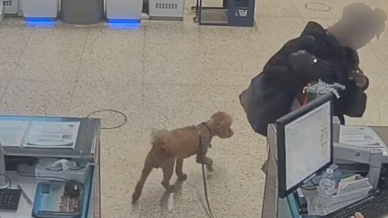 Se ha emitido una orden de detención contra la mujer acusada de abandonar a un perro en el...