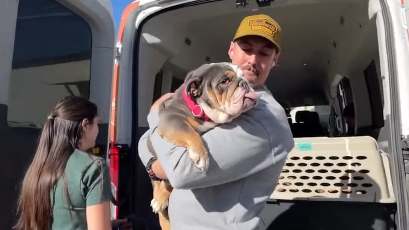 ¡Ha aterrizado el avión repleto de animales locales con destino a Salt Lake City!