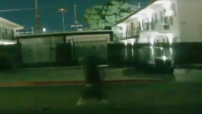 Una bala atravesó un apartamento en Las Vegas a primera hora de la mañana del domingo, después...