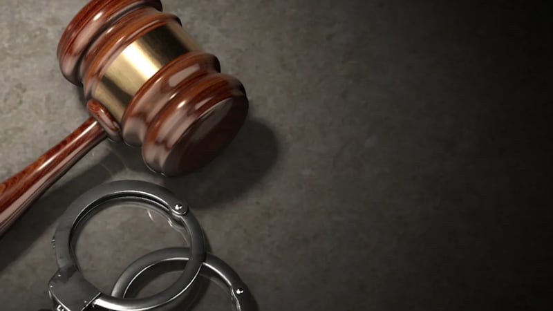 El Departamento de Policía Metropolitana de Las Vegas anunció el jueves el arresto de nueve...