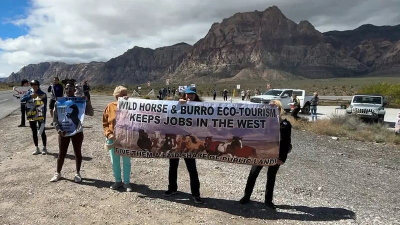 Decenas de personas se congregaron el domingo cerca de Red Rock para manifestarse en contra de...