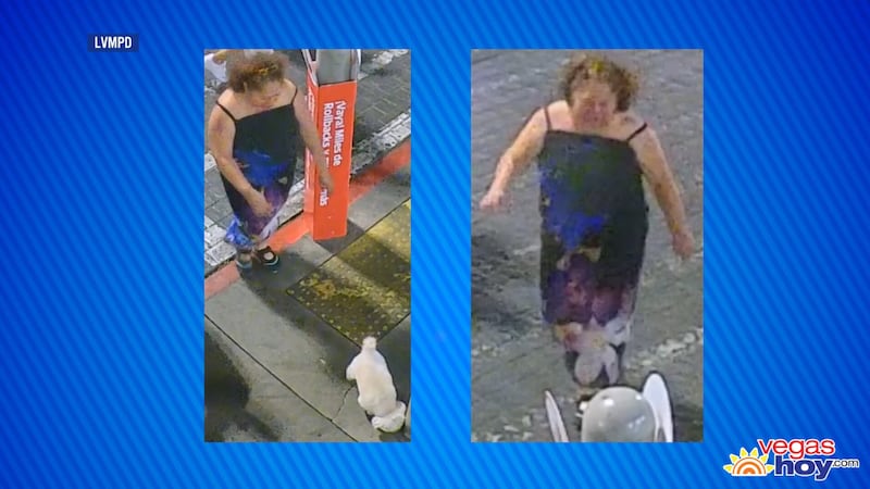 El video parece mostrar a una mujer desconocida llevándose al perro y marchándose en una...