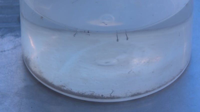 El Distrito de Salud del Sur de Nevada insta a los residentes a mantenerse alerta ante el...