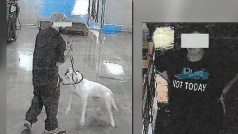 Caso de maltrato animal en Las Vegas: John Johnstone, sospechoso vinculado a Working Dogs of...