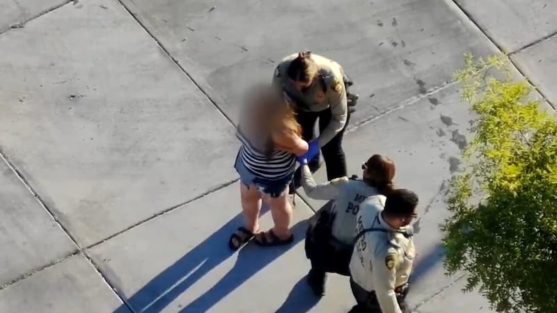 Un dron policial ayudó a los agentes a detener a un sospechoso de robo tras recibir el aviso...