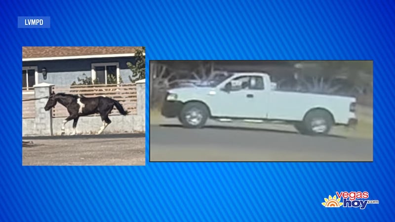 Un caballo fue hallado muerto en el este de Las Vegas, después de que la policía informara que...