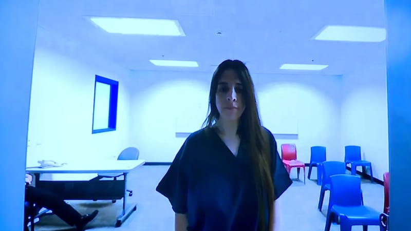 Allison Howlett compareció ante el tribunal por videoconferencia después de que la policía...