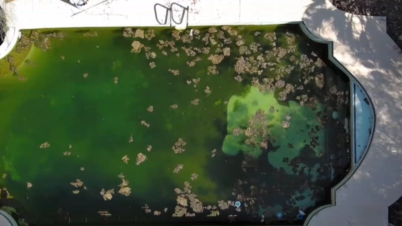 Los vecinos de las inmediaciones de Green Valley afirman que la piscina del patio trasero de...