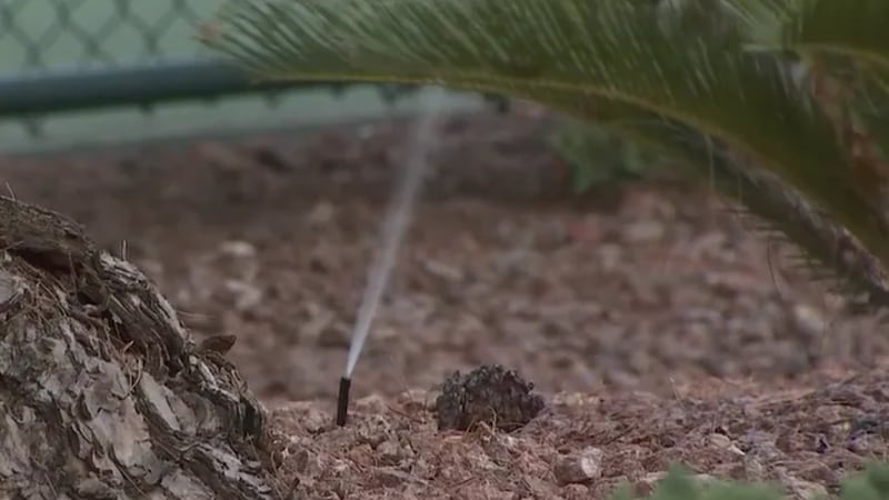Un grupo de propietarios ha presentado una demanda colectiva contra el Distrito de Agua del...