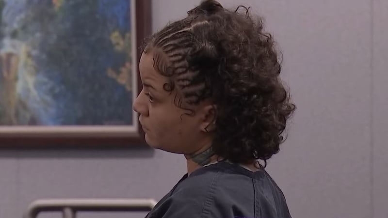 Destiny Reyes enfrenta un cargo por delito grave tras presuntamente sacar un pato de una...