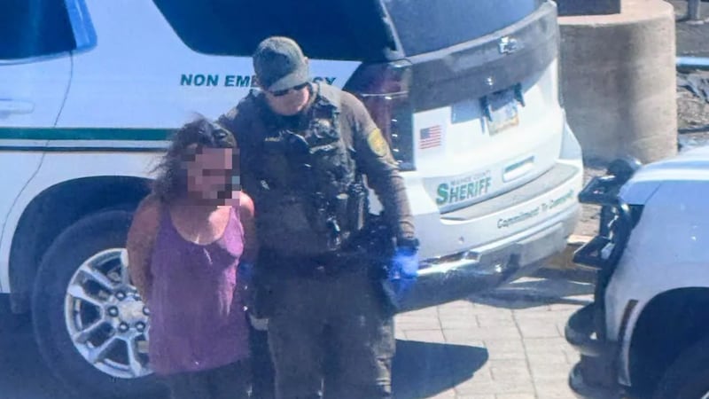 Una mujer fue arrestada luego de que la Oficina del Sheriff del Condado de Washoe la señalara...