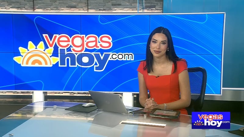 Ahora puede ingresar a las terminales del Aeropuerto Internacional Harry Reid sin un boleto de...