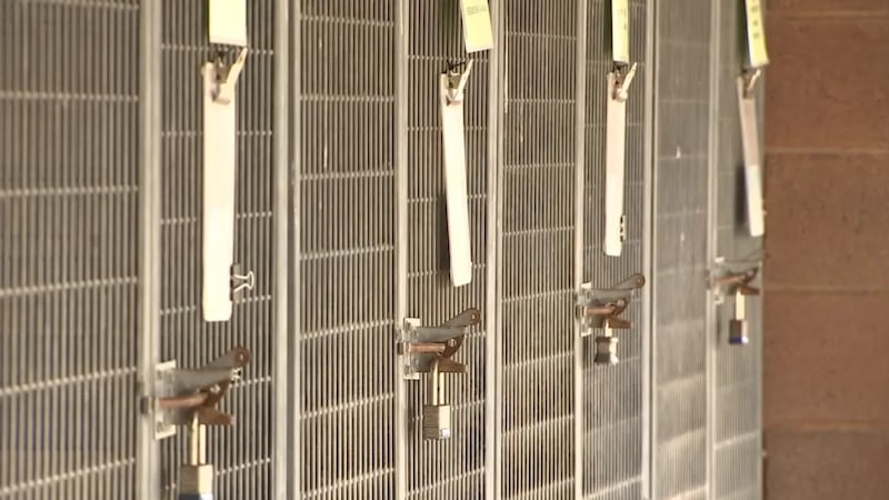 Las imágenes de vigilancia muestran a dos mujeres llevándose los artículos.