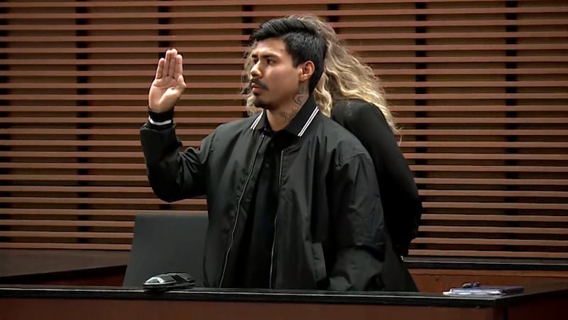 El incidente ocurrió el 14 de noviembre en la circunvalación sur 215 a la altura de Gibson...